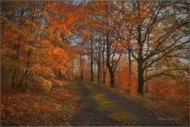 <p>Šluknovsko - Království</p>