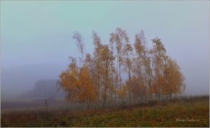 <p>Šluknovsko - Království</p>
