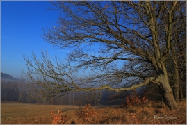 <p>Šluknovsko - Jiříkov</p>