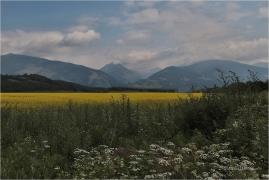 <p>Slovensko - Vysoké Tatry</p>