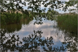 <p>Českolipsko - rybník Nohavice</p>