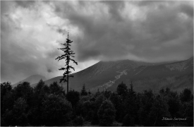 <p>Slovensko - Vysoké Tatry</p>