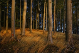 <p>Šluknovsko - Království</p>
