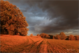 <p>Šluknovsko - Království</p>