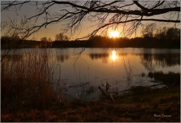 <p>Šluknov - Luční rybník</p>