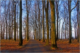 <p>na Jedlové</p>