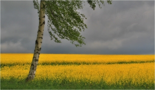 <p>okolí Lobendavy</p>