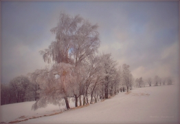 <p>pod Jedlovou</p>