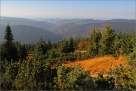<p>Krkonoše</p>