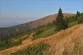 <p>Krkonoše</p>