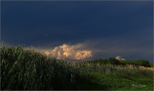 <p>jižní Morava - Nesyt</p>
