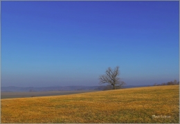 <p>Šluknovsko - Jiříkov</p>