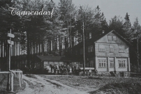 <p>Jedlová</p>
