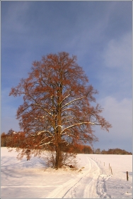 <p>Šluknovsko - Království</p>