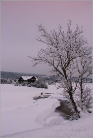<p>Jizerské hory - Jizerka</p>
