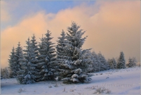 <p>Lužické hory</p>