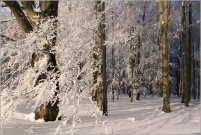 <p>Šluknovsko - Knížecí, Hrazený</p>