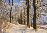 <p>Šluknovsko - Knížecí, Hrazený</p>