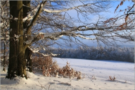 <p>Šluknovsko - Knížecí, Hrazený</p>