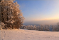 <p>Šluknovsko - Knížecí, Hrazený</p>