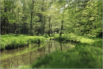 <p>Šluknovsko - Dolní Poustevna</p>