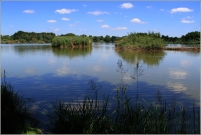 <p>Českobudějovicko</p>