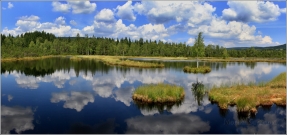 <p>Šumava - Chalupská slať</p>