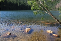 <p>Šumava - Černé jezero</p>