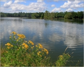 <p>Třeboňsko</p>