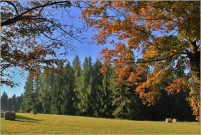 <p>Šluknovsko - Jiříkov, kopec</p>