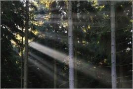 <p>Šluknovsko - Jiříkov, kopec</p>