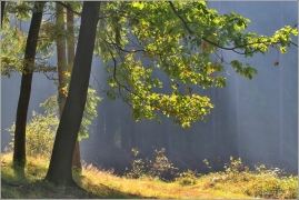 <p>Šluknovsko - Jiříkov, kopec</p>