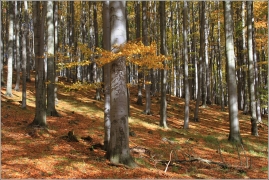 <p>Lužické hory - Studenec</p>