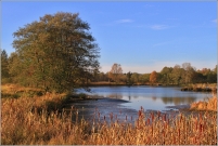 <p>Šluknov - Luční rybník</p>