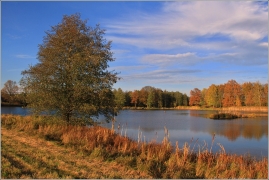 <p>Šluknov - Luční rybník</p>