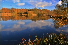<p>Šluknov - Luční rybník</p>