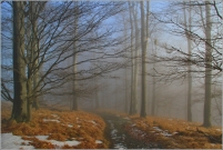 <p>Lužické hory - Studenec</p>