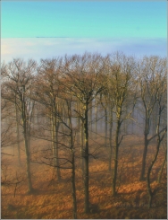 <p>Lužické hory - výhled ze Studence</p>