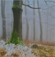 <p>Lužické hory - Studenec</p>