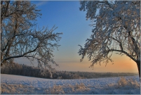 <p>Šluknovsko - Jiříkov, kopec</p>