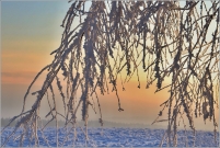 <p>Šluknovsko - Jiříkov, kopec</p>
