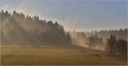 <p>Jizerské hory</p>