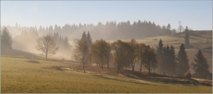 <p>Jizerské hory</p>