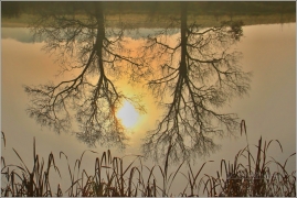 <p>Šluknov - Rybničná</p>
