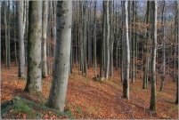 <p>Šluknovsko - Vlčí Hora</p>