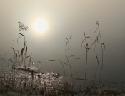 <p>Šluknov - Bobří rybník</p>