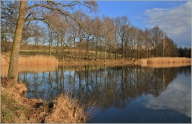 <p>Šluknov - Luční rybník</p>