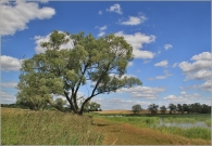 <p>Českobudějovicko</p>
