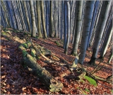 <p>Lužické hory - Studenec</p>