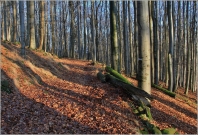 <p>Lužické hory - Studenec</p>